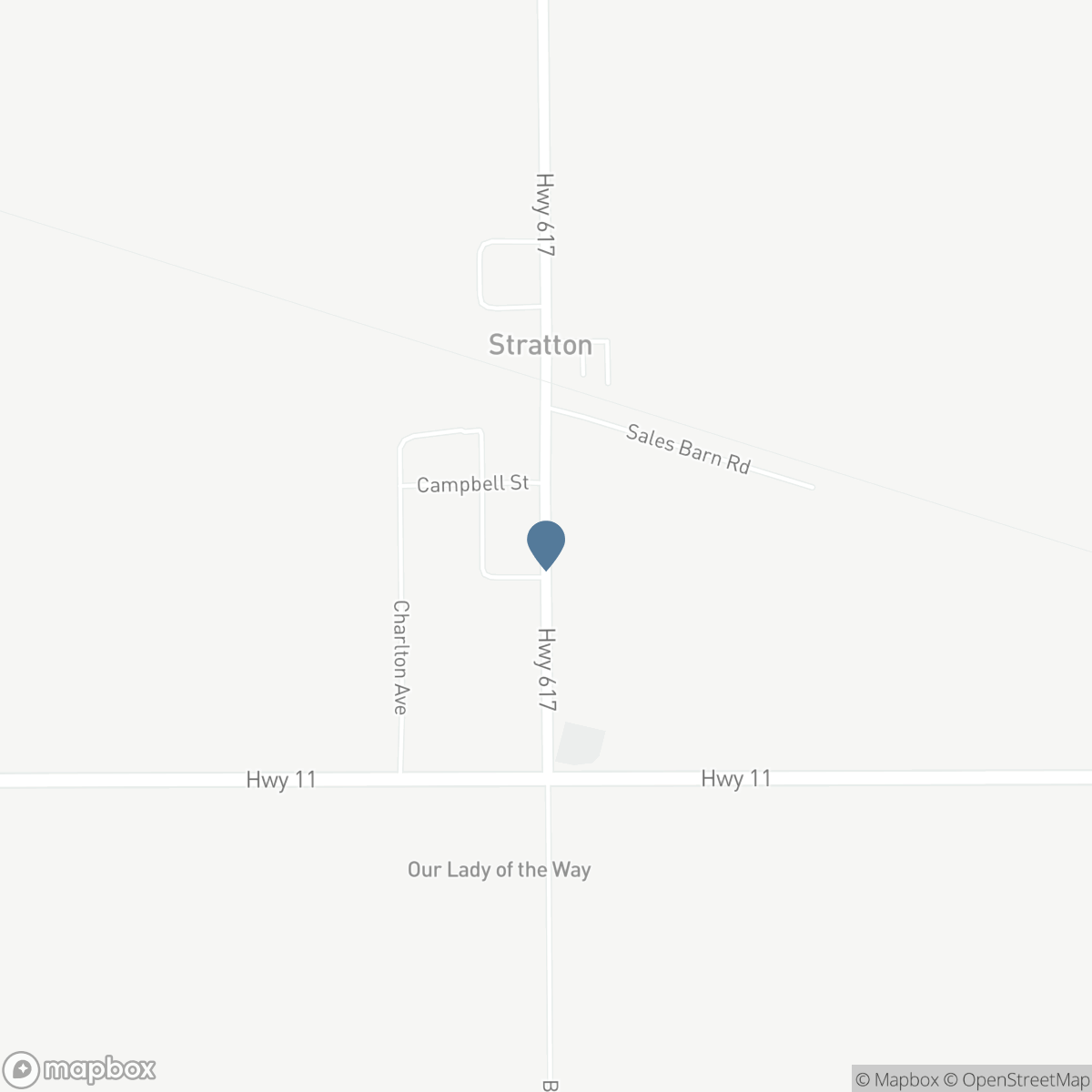 111 HWY 617 HIGHWAY, Morley, Ontario P0W 1N0